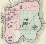 Wards Island 1879.jpg