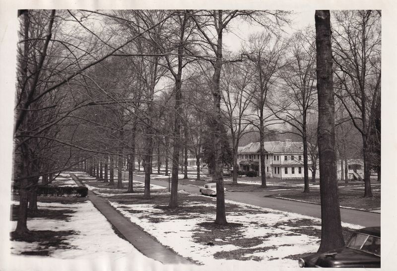 File:IMG 20250413 0040.jpg