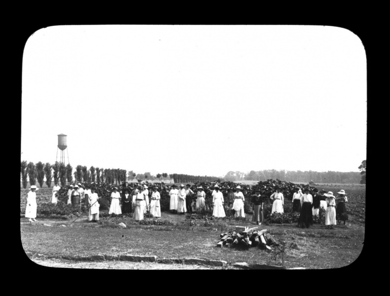 File:working-outside-2015-28 44 bb7383f0e5.jpg